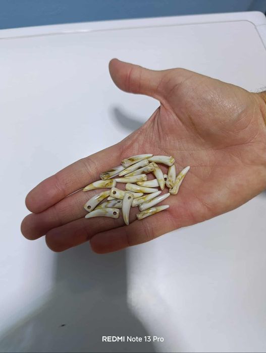 Зъби за изработка на гривни гердани кукерски..