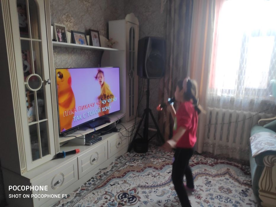 Аренда караоке на дом