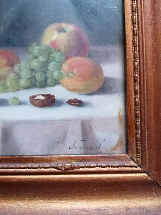 Pictura Nandory Stefan