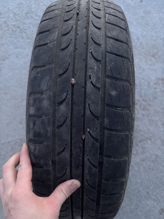продам шину tunga zodiac
