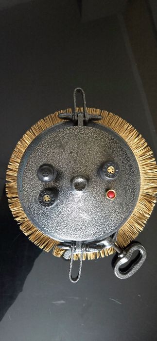 Казанок афганский.