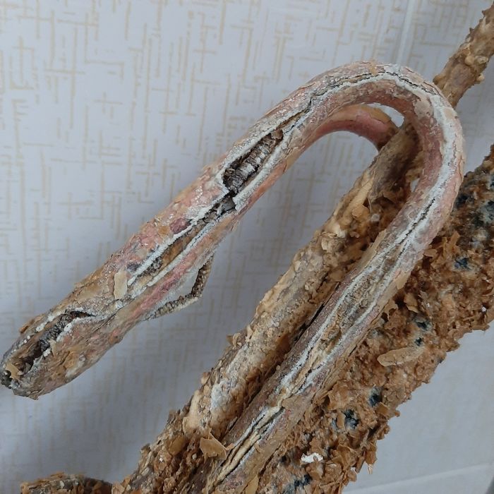 Чистка аристона ремонт