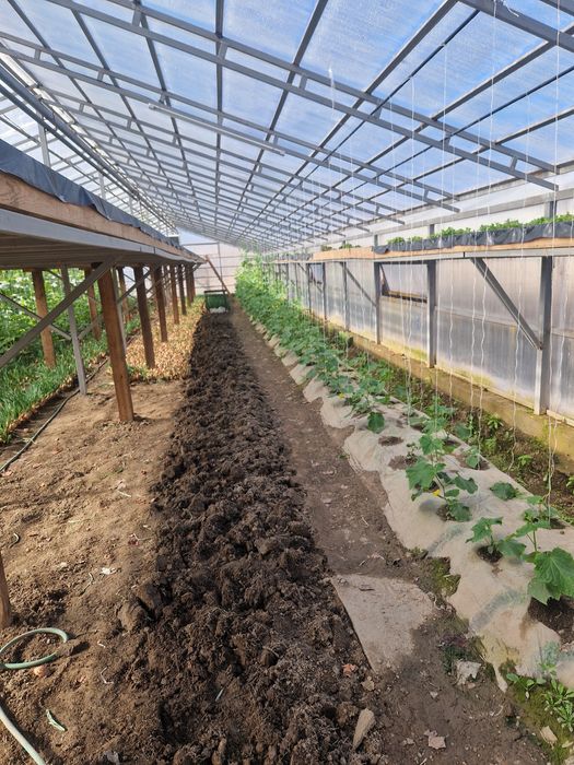 Продам дом с зимней теплицой