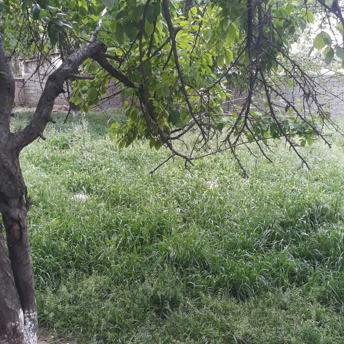 Участка сотилади