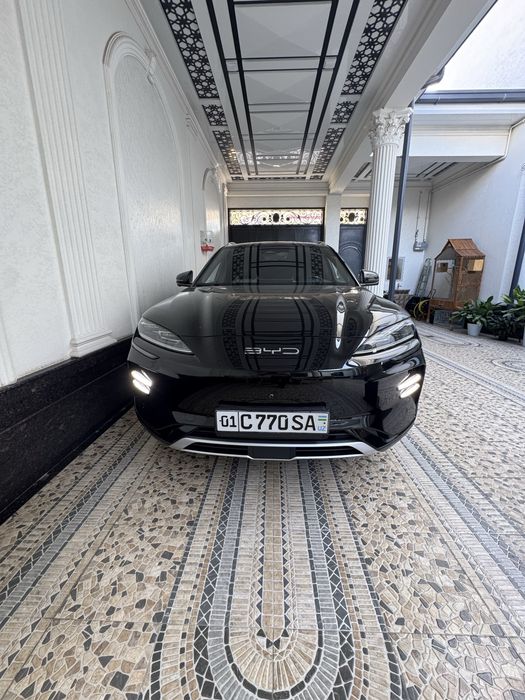 Byd chempion honor
