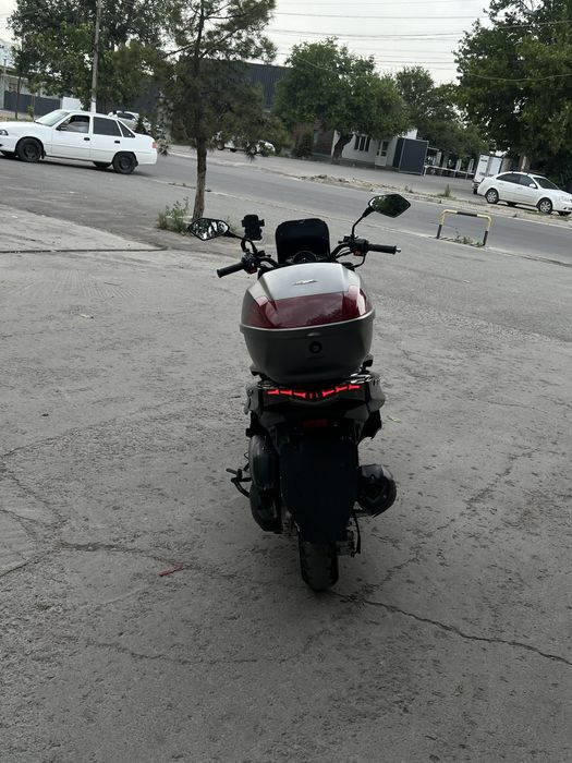 Gst tiger sotiladi