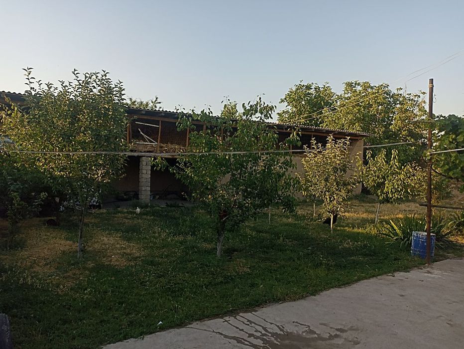 Dala hovli uchatska narxida