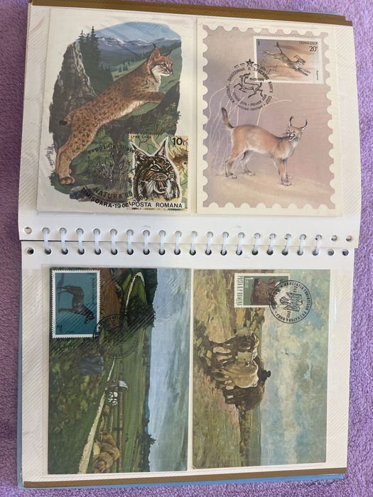 Album Maxime cu animale