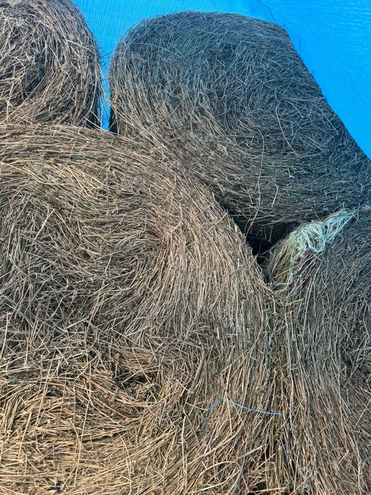 Baloti lucerna CALITATE SUPERIOARA de vanzare