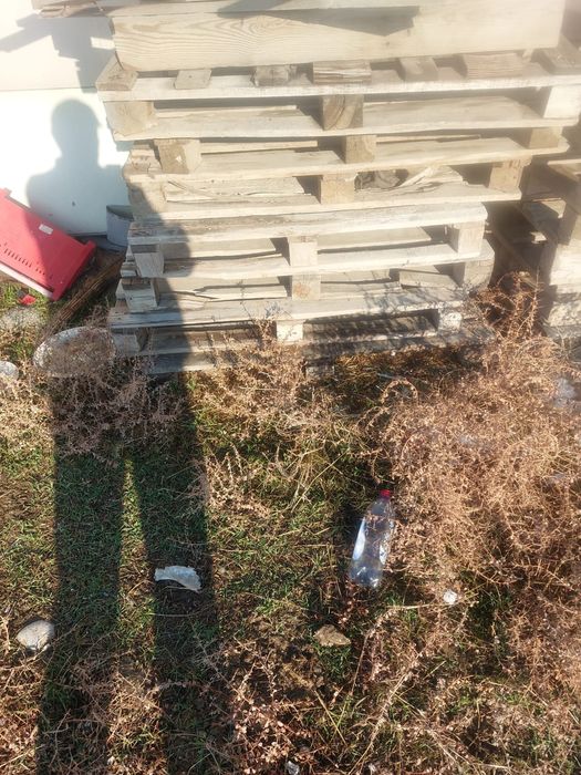 Поддоны,  Поддон