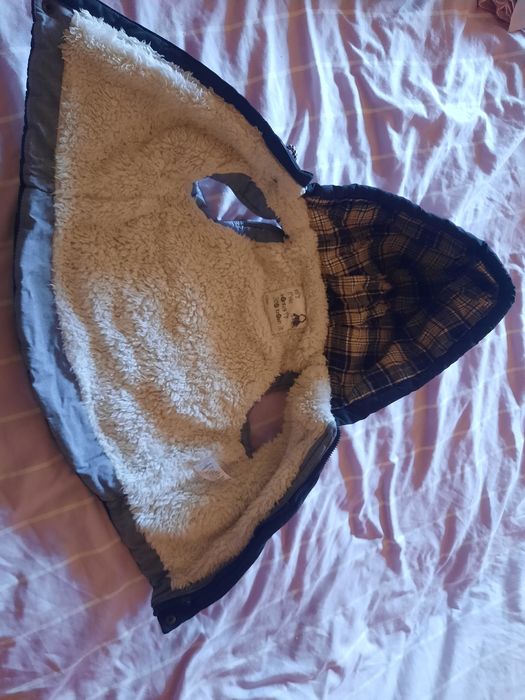 Vesta imblanita copii