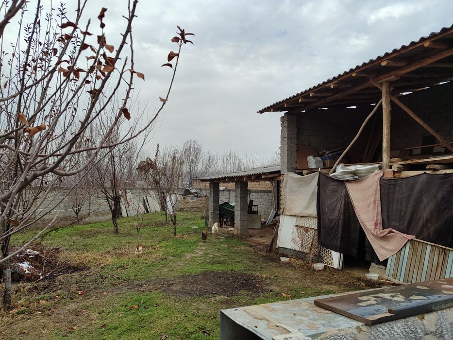 Chinoz tumani Isloxot MFY da xovli sotiladi.Narxi kelishiladi