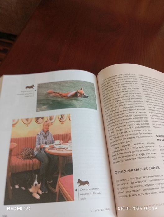 Книга влеколипные корги