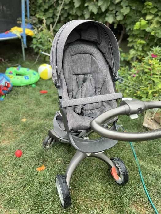 Carut Stokke superb