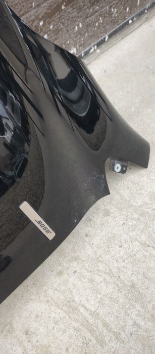 Aripa stângă fata kadjar