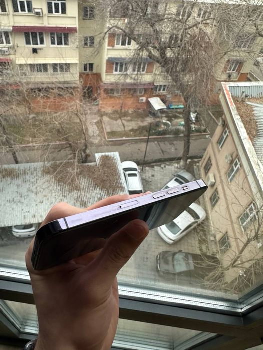 iphone 14 pro (holi bor)