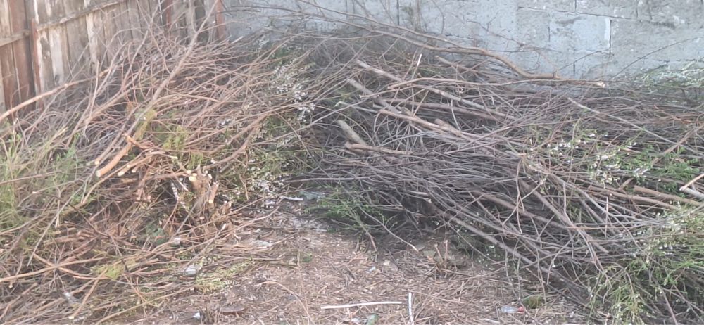 Donez lemne foc zona giulesti