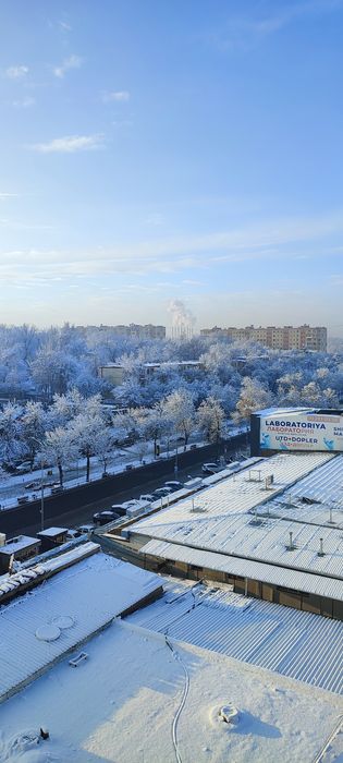 Передержка собак и кошек