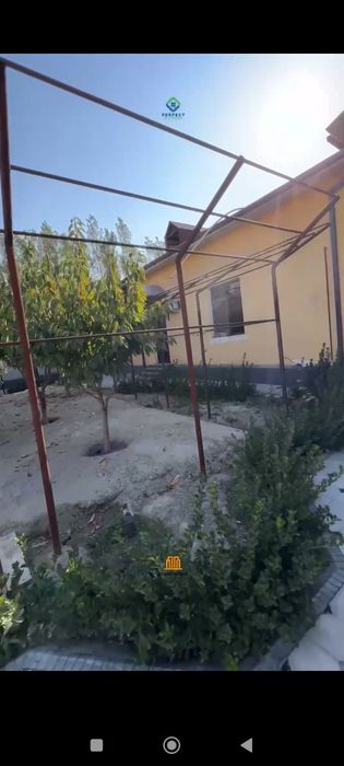 Дом уютный с участком фруктовыми деревьями.