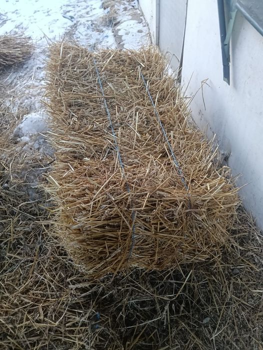 De vânzare baloți mici de paie de grâu