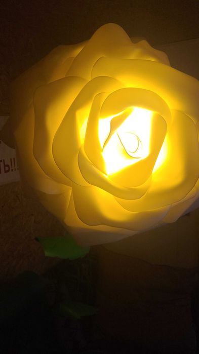 Ростовые цветы, светильники