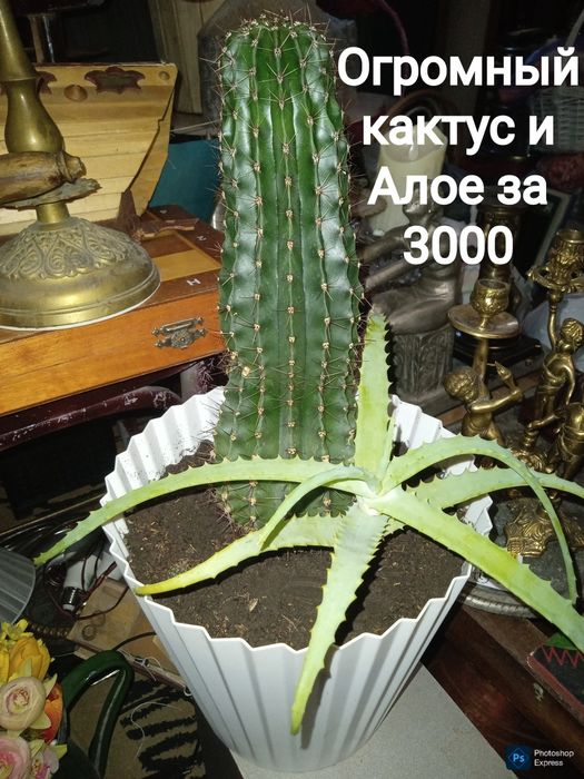 Сушилка стул и прочие товары