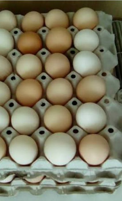 Ouă de vânzare proaspete