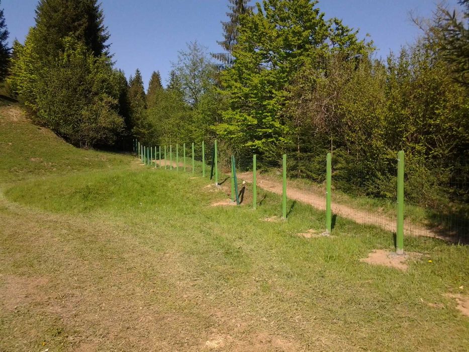 Vând  12.500 mp teren extravilan Lunca Ilvei Bistrita Nasaud