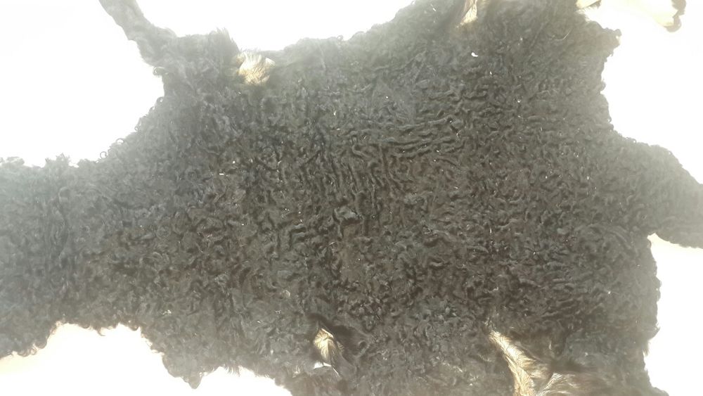 Каракуль. Мех. Шкурки.