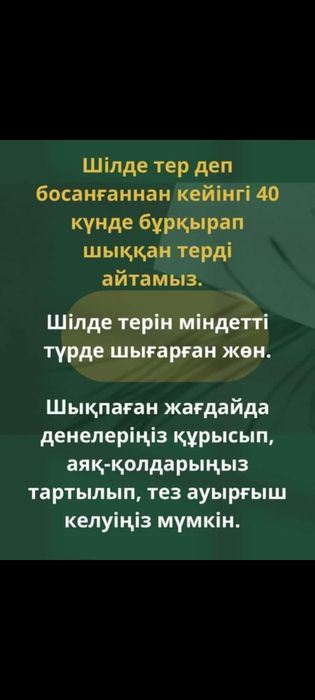 Сауна багуа             .