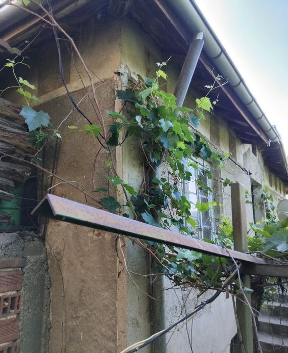 Продава се Къща в с. Баланово, Област Кюстендил - 100 кв.м за 420 €/кв.м - Снимка #1