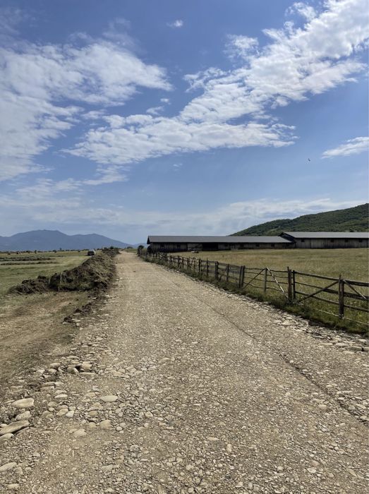 Teren zona Wonderland