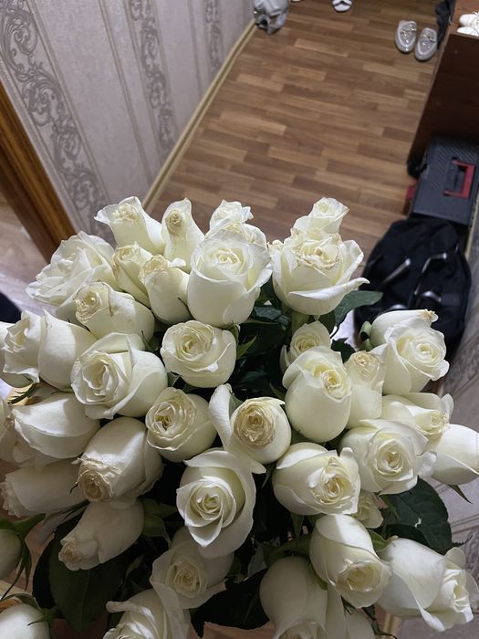 Срочно сатылады 51 роза