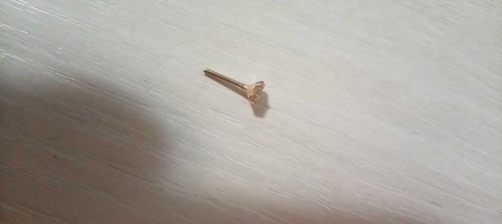 Золотые гвоздики