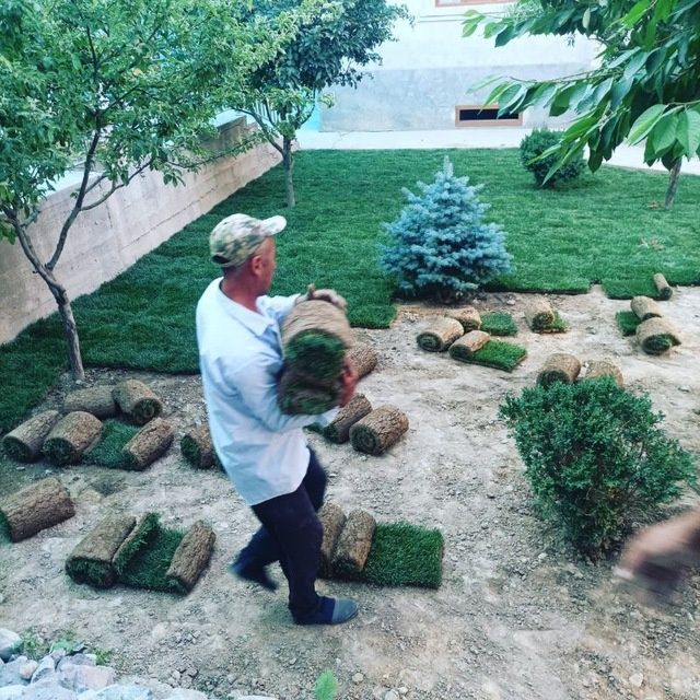 Gazon xizmati archa stirichk qilish landshaft dizayni xizmatlari