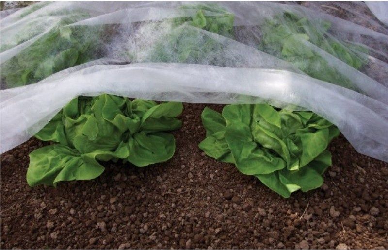 Agril ( folie microporoasa ) 3.2m x 100m 23gr