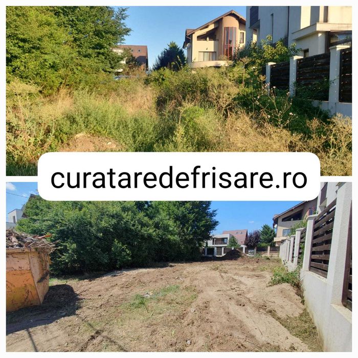 Curatare teren / defrisare / nivelare/ imprejmuire /intretinere anuala