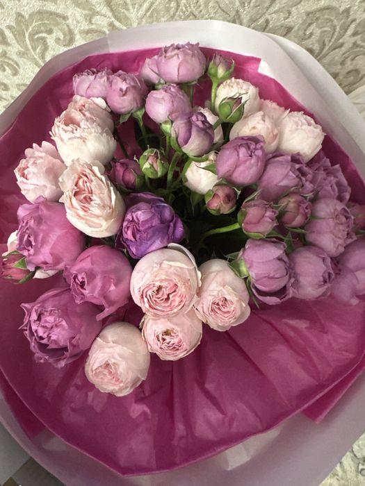 Свежие цаеты очень красивые