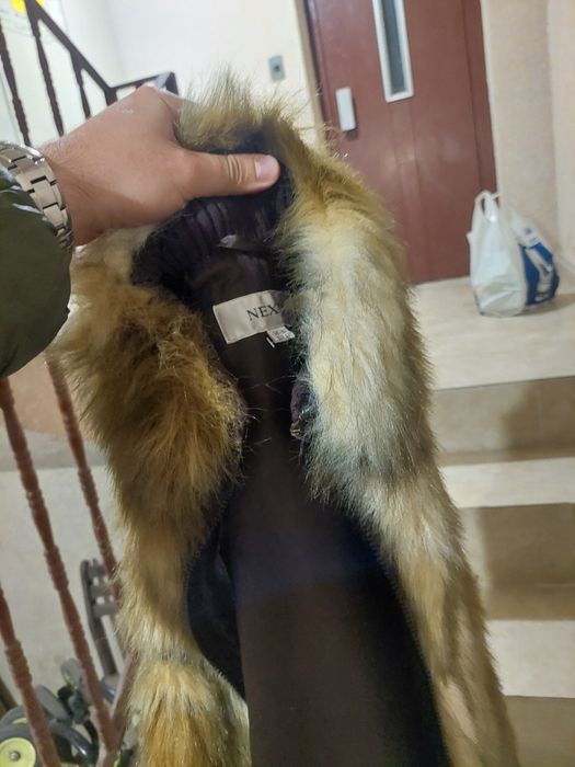 Елек от лисица, добро състояние