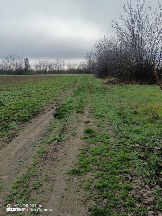Teren agricol de vânzare, 2500 mp, acces ușor