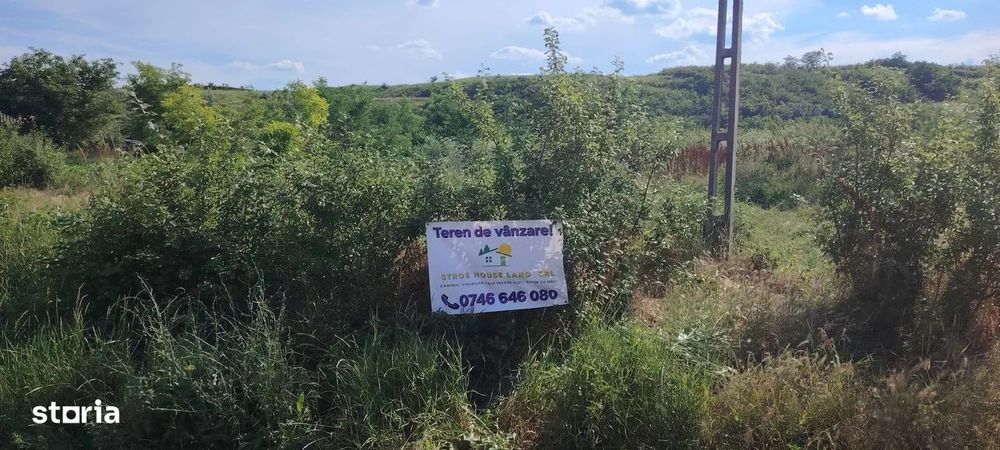 Teren intravilan de vânzare – 5.000 mp, Com. Belcești (sat Rusi)