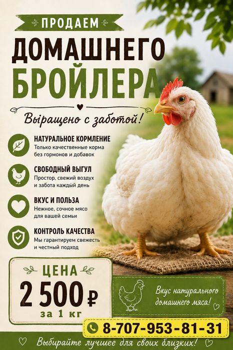 Мясо домашнего бройлера
