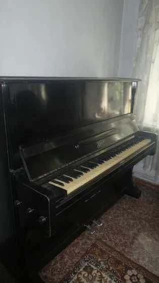 Пианино "Кубань", Краснодар