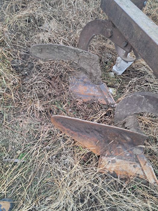 Plug romanesc cu 2 cormane Sebes • OLX.ro