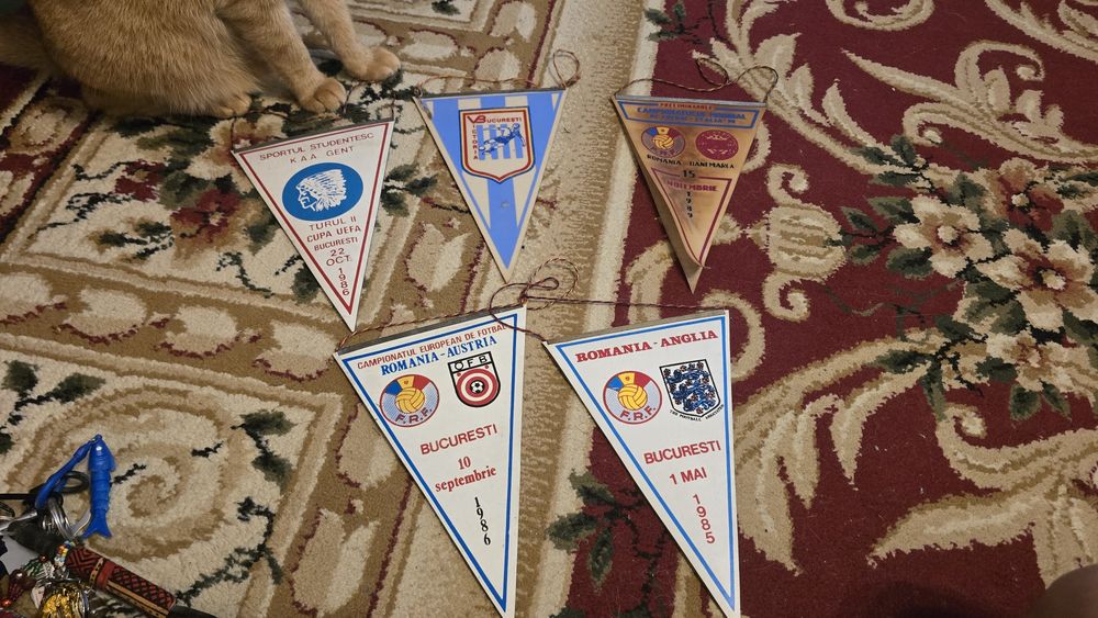 Fanioane fotbal Romania