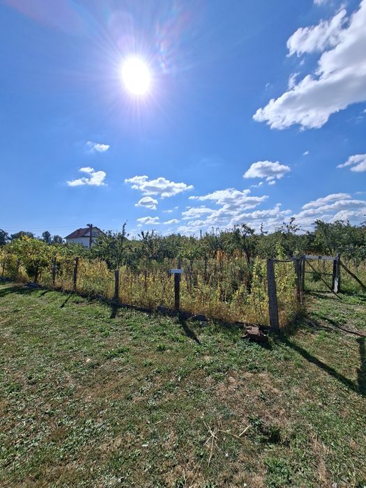 De vânzare: Gospodărie completă cu casă utilată, anexe, curte și livadă mare – 6.243 mp, Cuca (sat Cârcești), Argeș