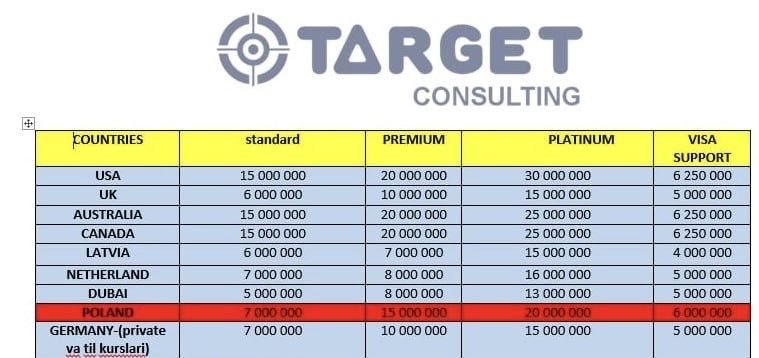 Konsalting xizmati (Target)