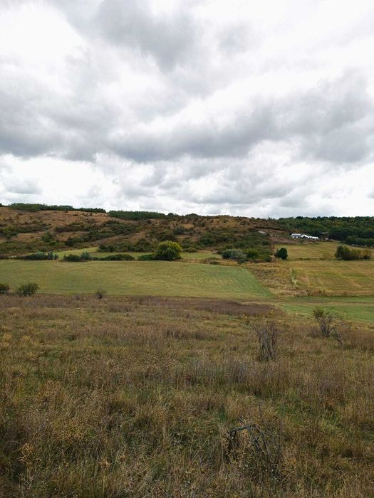 Teren 3,3 ha pentru viață la natură – livadă, liniște, Strunga Iași