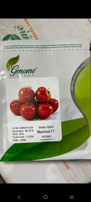 Семена томата Максимус ф1