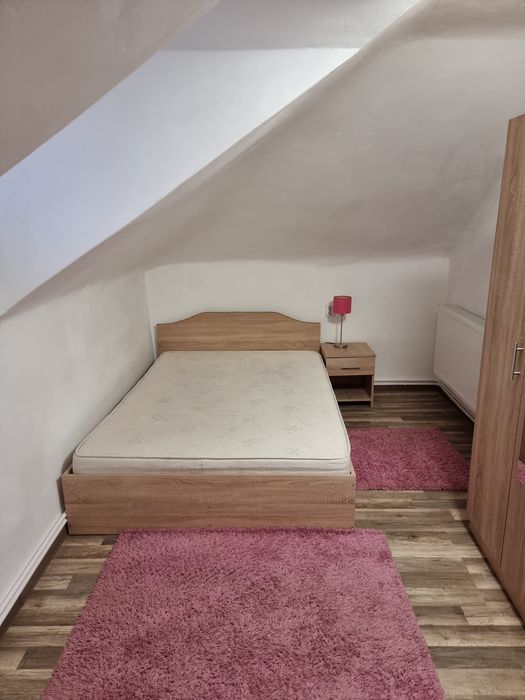 Vând apartament si o minigarsoniera pe Aleea Parcului la mansarda